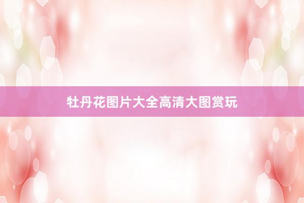 牡丹花图片大全高清大图赏玩